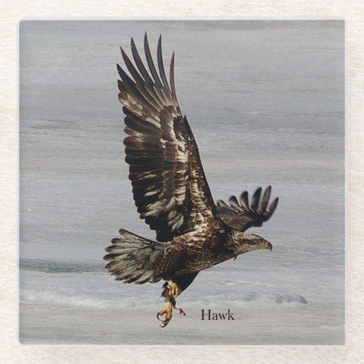 Onderzetter van Hawk-glas (Voorkant)