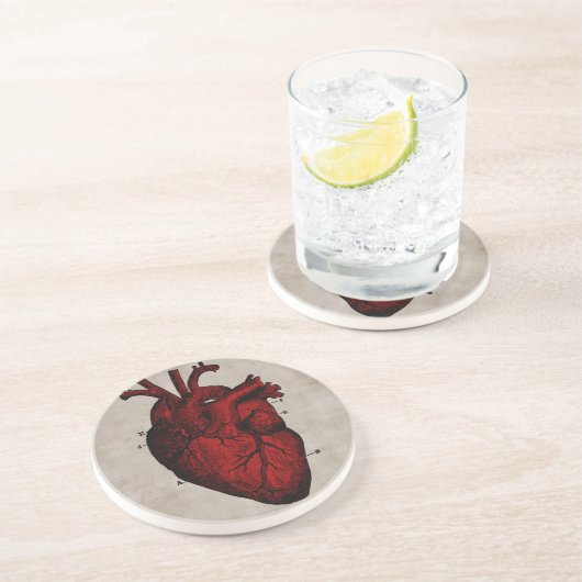 Onderzetter van het menselijk hart (Zijkant)
