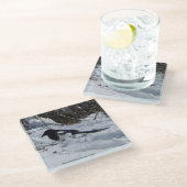 Onderzetter van het zwarte geblazen Rocky Mountain (Schuin)