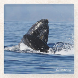 Onderzetter van hoefijzer glazen onderzetter