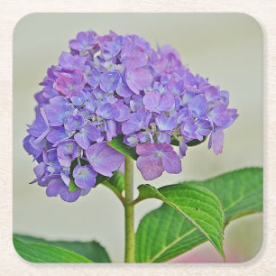 Onderzetter van Hydrangea Blossom