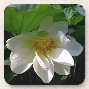 Onderzetter van kurk met fijne witte Lotus Flower