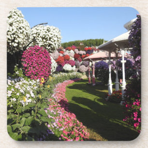 Onderzetter van kurk met petunias