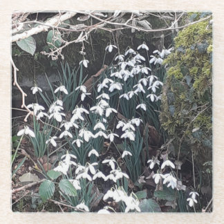 Onderzetter van lentesnowdruppels glazen onderzetter