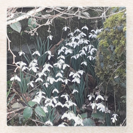 Onderzetter van lentesnowdruppels glazen onderzetter (Voorkant)