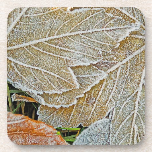 Onderzetter van Maple Cork, bevroren (Voorkant)