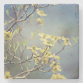 Onderzetter van marmer en Dogwood (Voorkant)