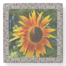 Onderzetter van marmer met oranje zonnebloem 2