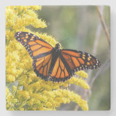 Onderzetter van Monarch Butterfly Stone (Voorkant)