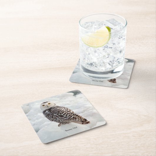 Onderzetter van nowy owl (Insitu)