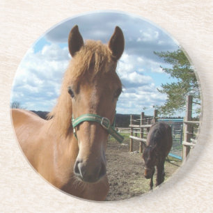 Onderzetter van paarden