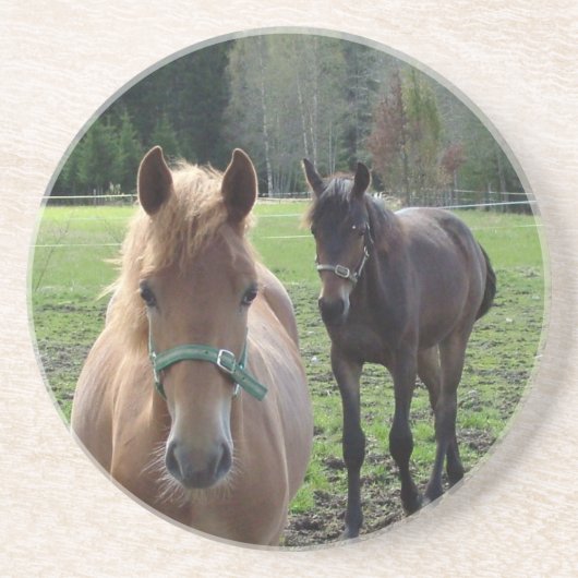 Onderzetter van paarden (Voorkant)