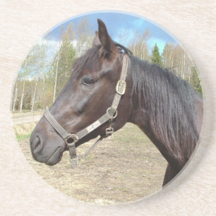 Onderzetter van paarden