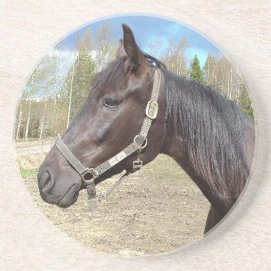 Onderzetter van paarden (Voorkant)