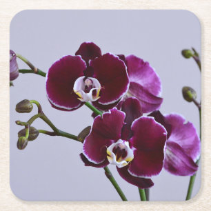 Onderzetter van Paars orchidepapier