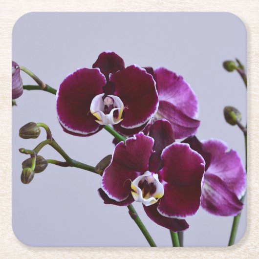 Onderzetter van Paars orchidepapier (Voorkant)