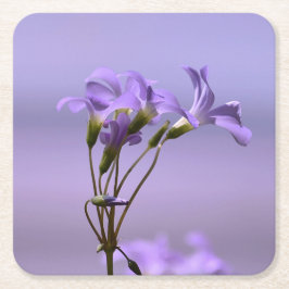 Onderzetter van paarse bloemen