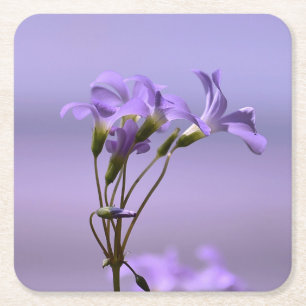 Onderzetter van paarse bloemen