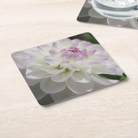 onderzetter van Paarse en Witte Dahlia (Schuin)