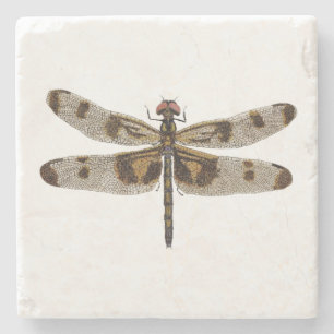Onderzetter van Pennant Dragonfly