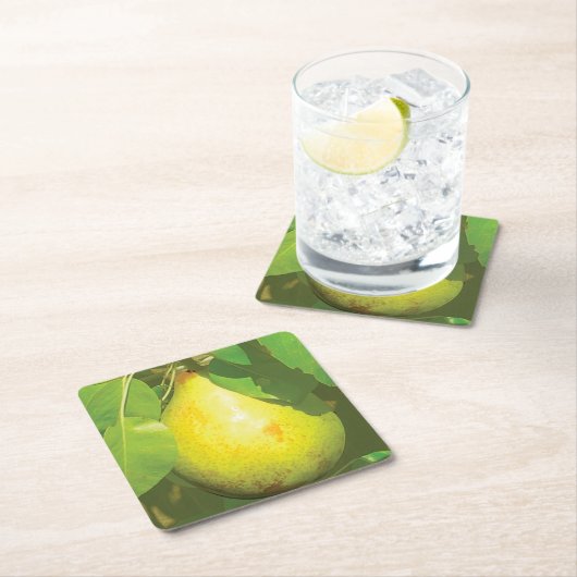 Onderzetter van peren (Insitu)