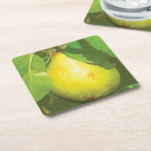 Onderzetter van peren (Schuin)