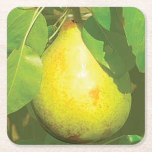 Onderzetter van peren