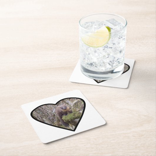 Onderzetter van Pine Marten (Insitu)