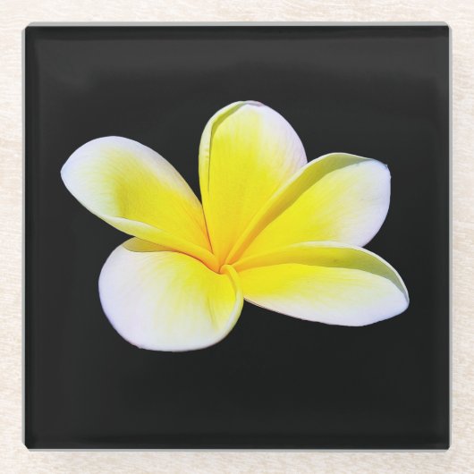 Onderzetter van Plumeria Glass (Voorkant)