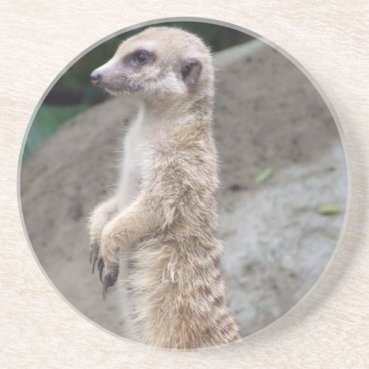 Onderzetter van Poised Meerkat (Voorkant)