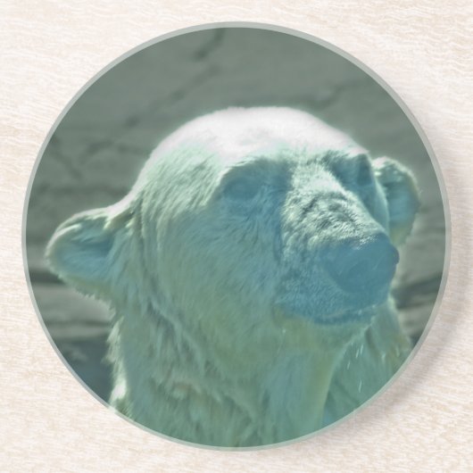 Onderzetter van poolBeer (Voorkant)