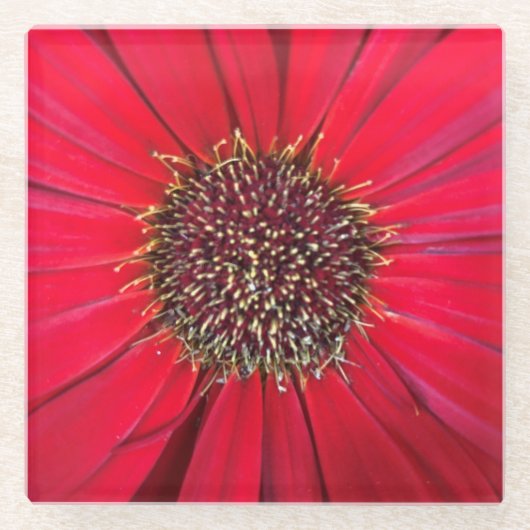 Onderzetter van rood ventilator (Voorkant)