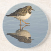 Onderzetter van Sandpiper Bird (Voorkant)