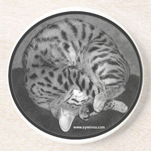 Onderzetter van Savannah-katten (Voorkant)