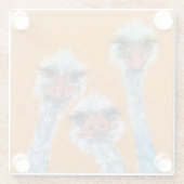 Onderzetter van struisvogels glazen onderzetter (Achterkant)