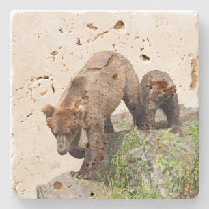 Onderzetter van travertijn met grizzly en beer