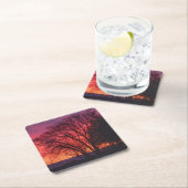 Onderzetter van Tree and Sunset (Insitu)