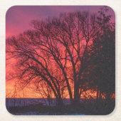 Onderzetter van Tree and Sunset (Voorkant)