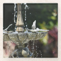 Onderzetter van waterfontein