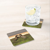 Onderzetter van wilde paarden (Insitu)