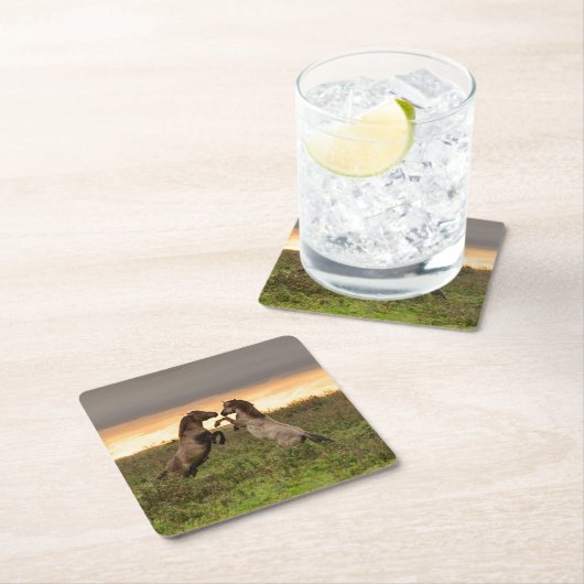 Onderzetter van wilde paarden (Insitu)