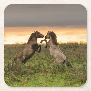 Onderzetter van wilde paarden