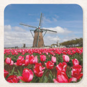 Onderzetter van windmolen en tulpen (Voorkant)