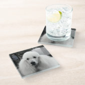 Onderzetter van wit poedel glas (Schuin)