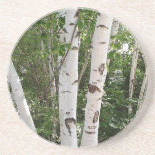 Onderzetter vogelboom