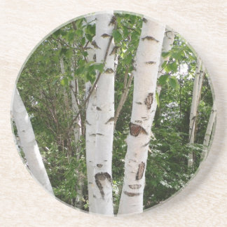Onderzetter vogelboom