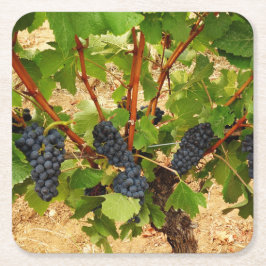 Onderzetter voor druivenpapier