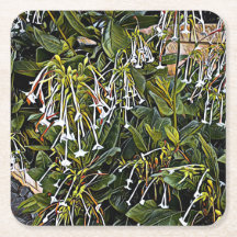 Onderzetter voor sierbloem