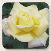 Onderzetter vredesRoos instellen (Voorkant)