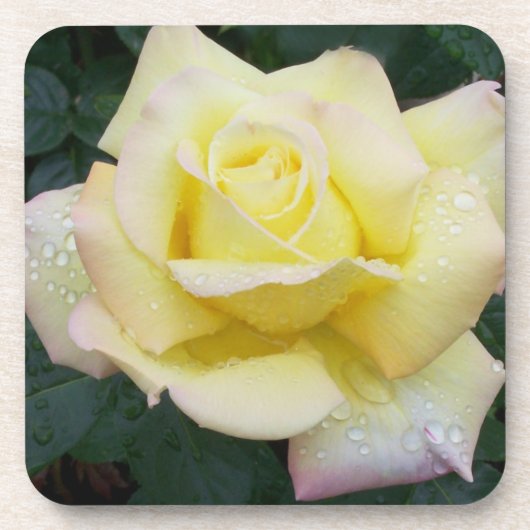 Onderzetter vredesRoos instellen (Voorkant)